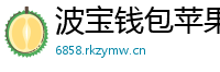 波宝钱包苹果版安装教程